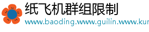 纸飞机群组限制
